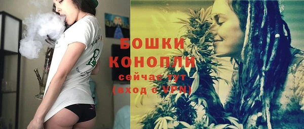PSILOCYBIN Белоозёрский