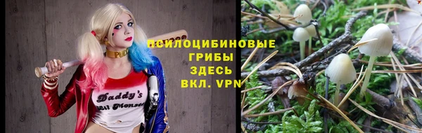 spice Беломорск