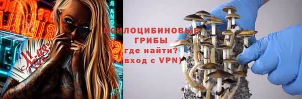 PSILOCYBIN Белоозёрский