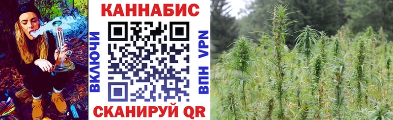 мориарти как зайти  купить наркотик  Сенгилей  Канабис Ganja 